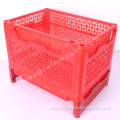 Customized Plastic Display Vegetable Rack Mould